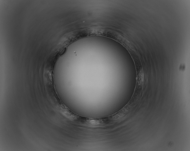 X0000091170522200708231508