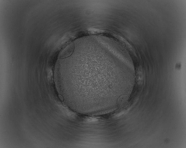 X0000091170523200708231508