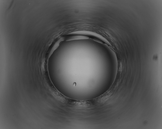 X0000091170524200708231508