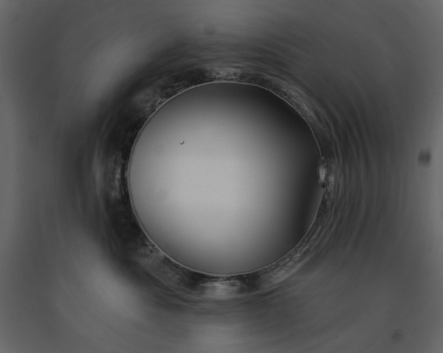 X0000091170525200708231508