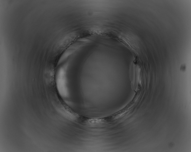 X0000091170526200708231508