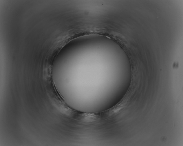 X0000091170528200708231508