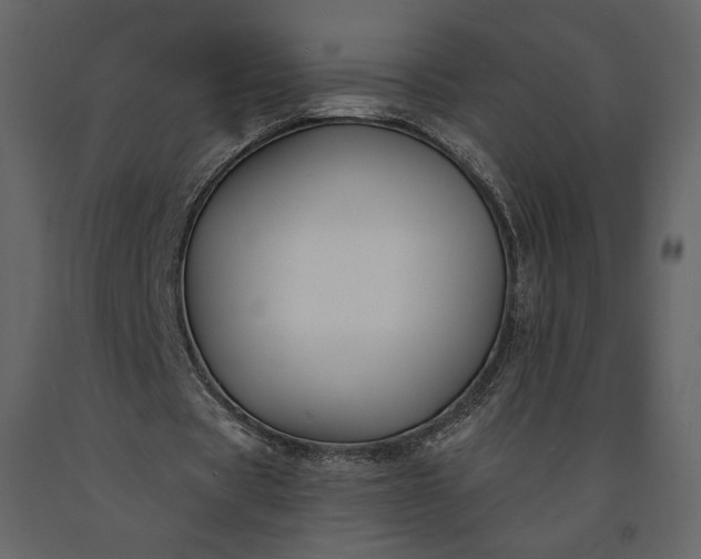 X0000091170529200708231507