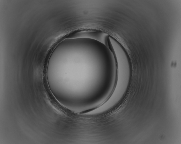 X0000091170530200708231507