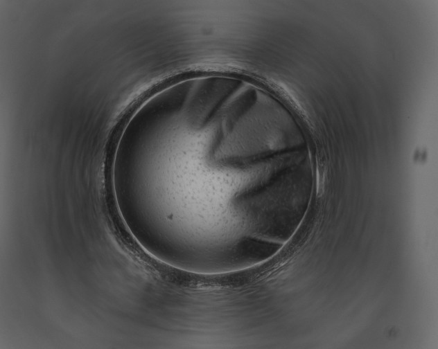 X0000091170531200708231507