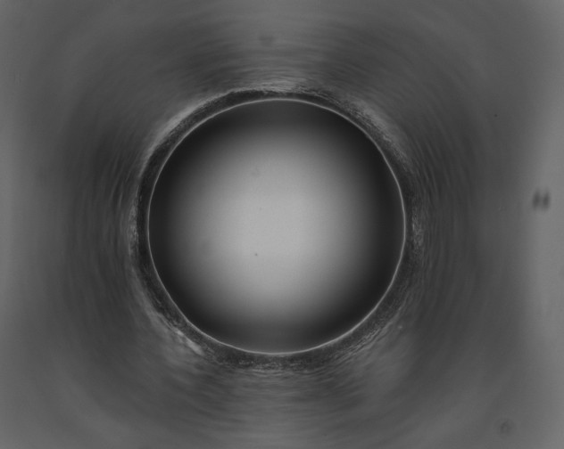 X0000091170532200708231507