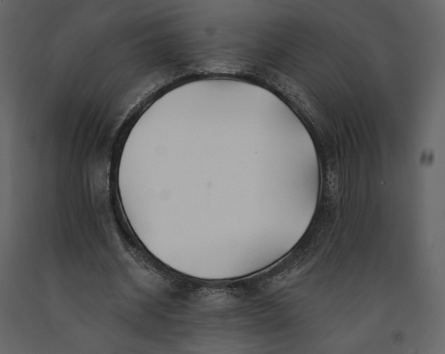 X0000091170534200708231507