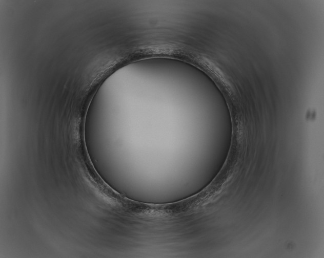 X0000091170537200708231508