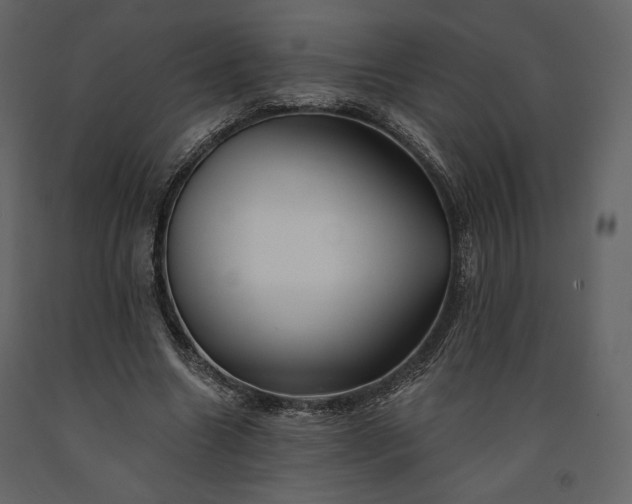 X0000091170538200708231508