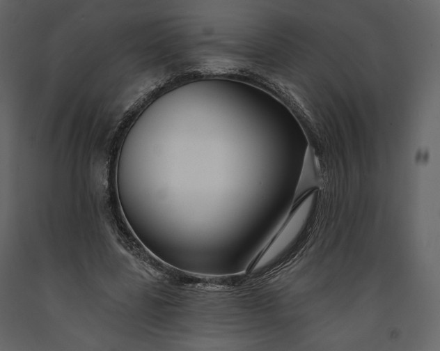 X0000091170539200708231508