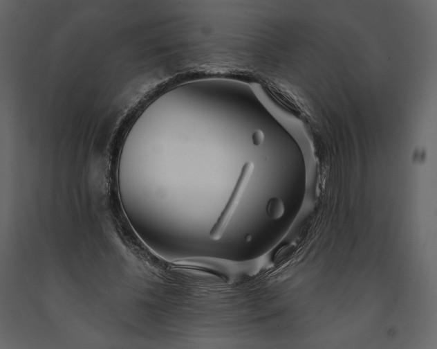 X0000091170540200708231508