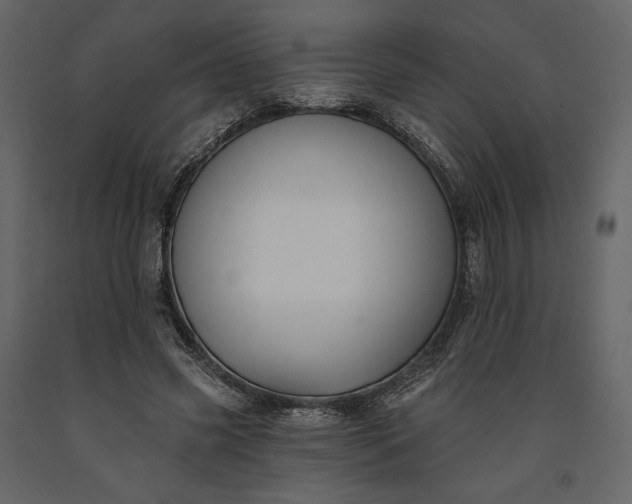 X0000091170541200708231508