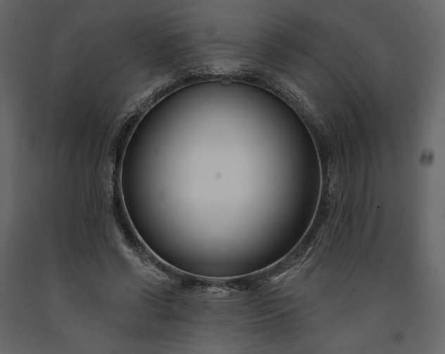 X0000091170542200708231508