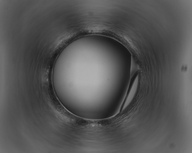 X0000091170543200708231508