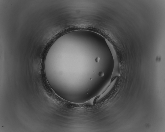 X0000091170544200708231508