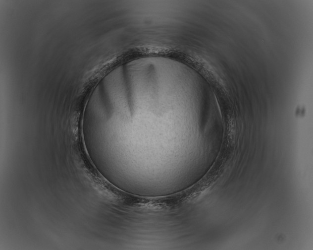 X0000091170545200708231508