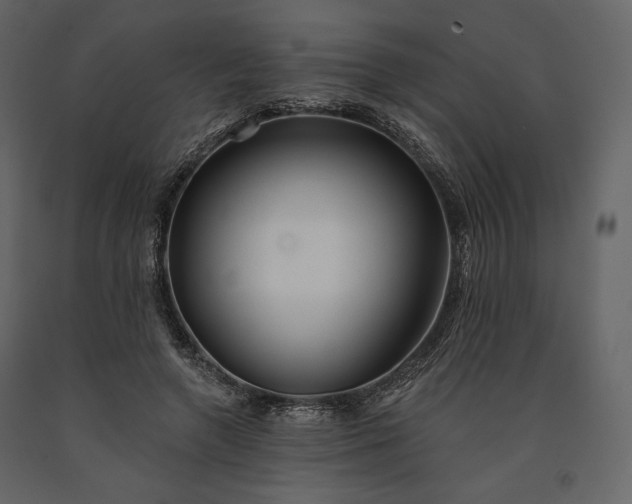 X0000091170546200708231508