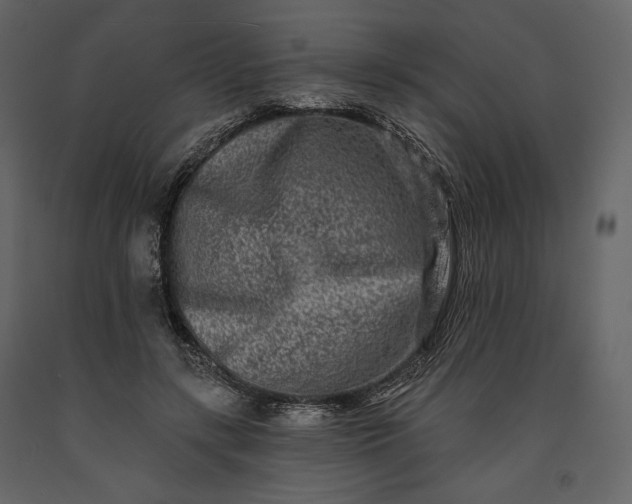 X0000091170547200708231508