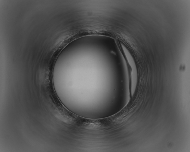 X0000091170548200708231508