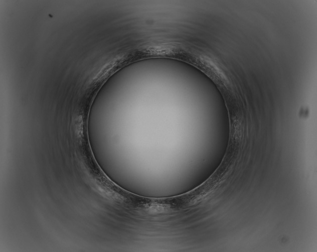 X0000091170549200708231508