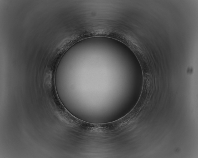 X0000091170550200708231508