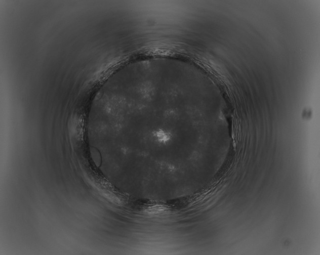 X0000091170551200708231508