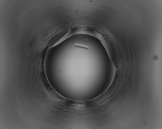 X0000091170552200708231508