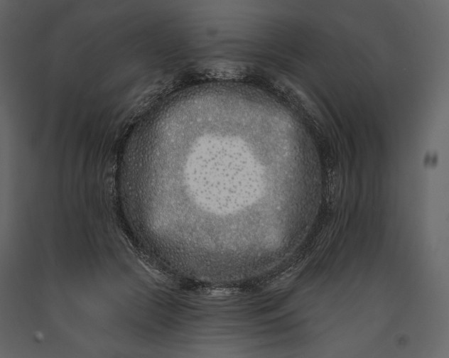 X0000091170553200708231508