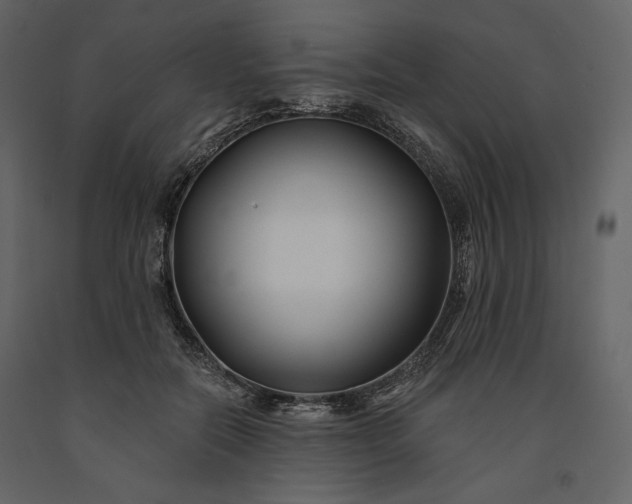 X0000091170554200708231508