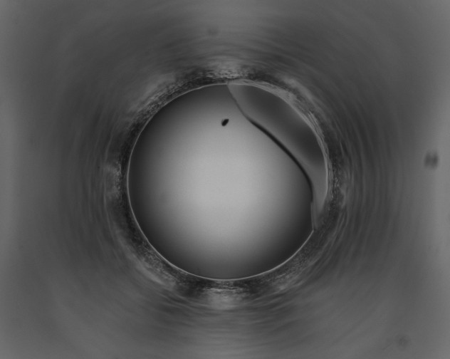 X0000091170556200708231508