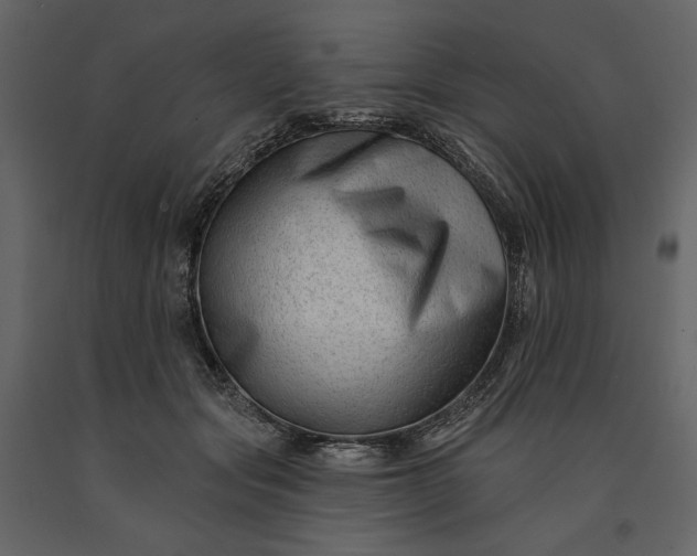 X0000091170557200708231508