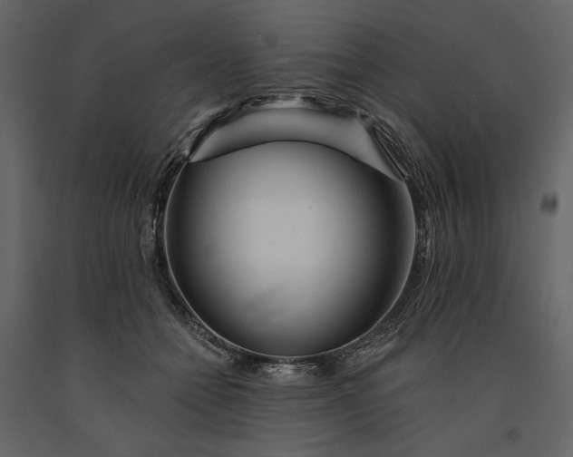 X0000091170558200708231508