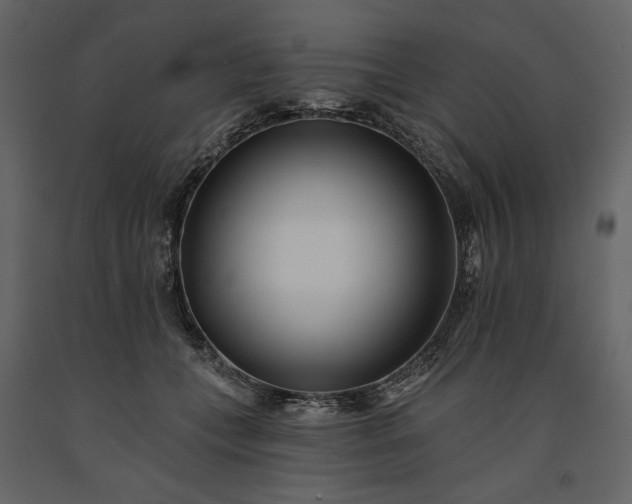 X0000091170559200708231508