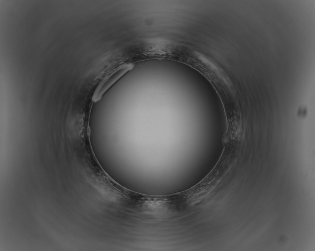 X0000091170560200708231508