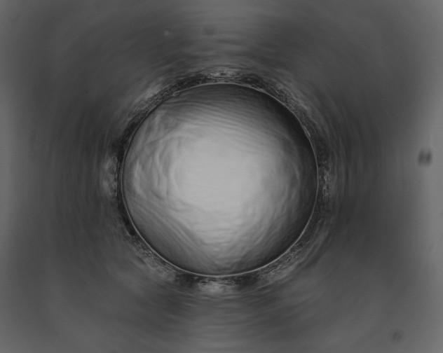 X0000091170561200708231508