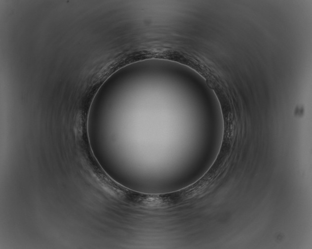 X0000091170562200708231508