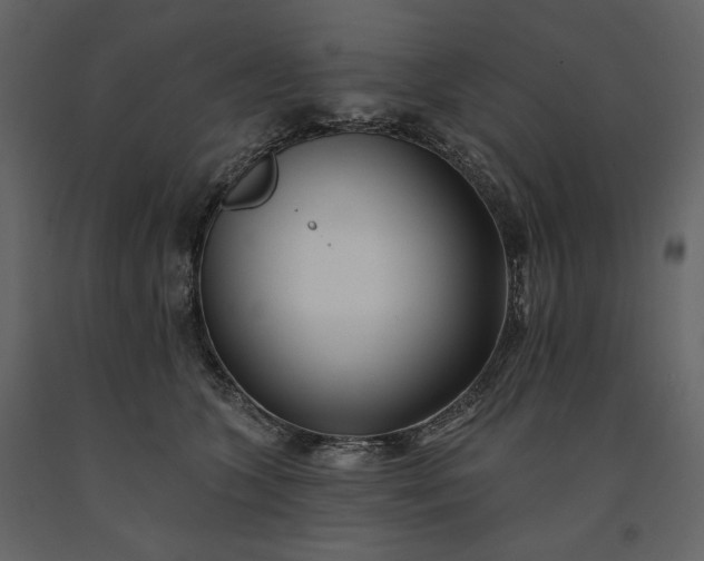 X0000091170563200708231508