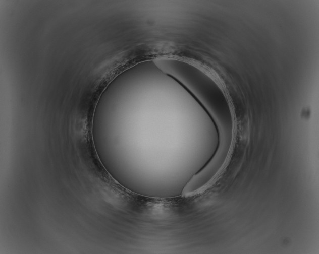 X0000091170564200708231508