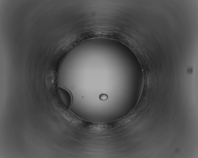 X0000091170567200708231508