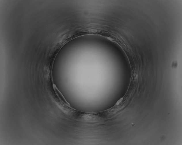 X0000091170568200708231508