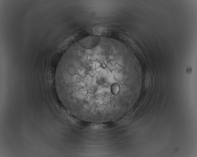 X0000091170569200708231508