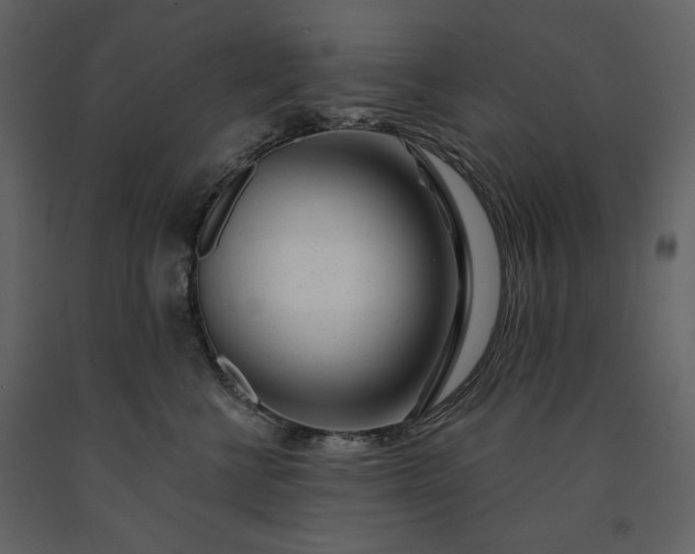 X0000091170570200708231508