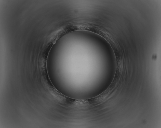 X0000091170571200708231508