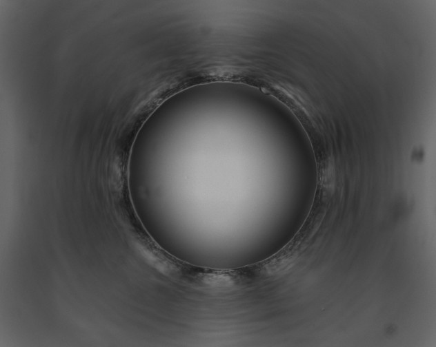 X0000091170572200708231508