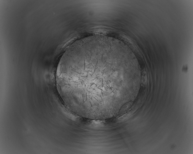 X0000091170573200708231508