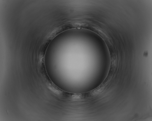 X0000091170574200708231508