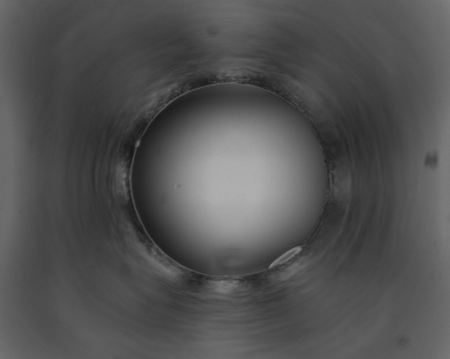 X0000091170575200708231508