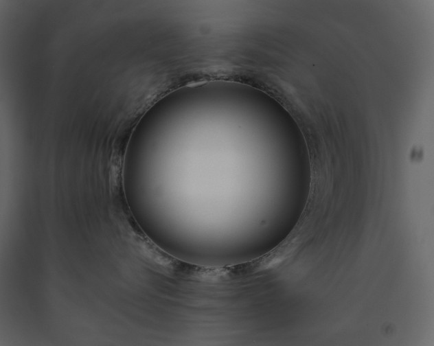 X0000091170576200708231508