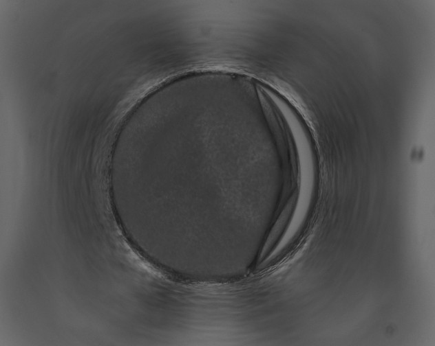 X0000091170577200708231507