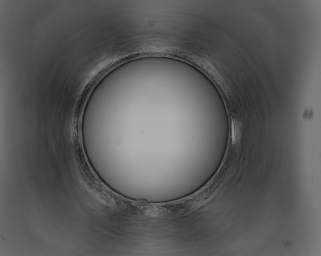 X0000091170579200708231507